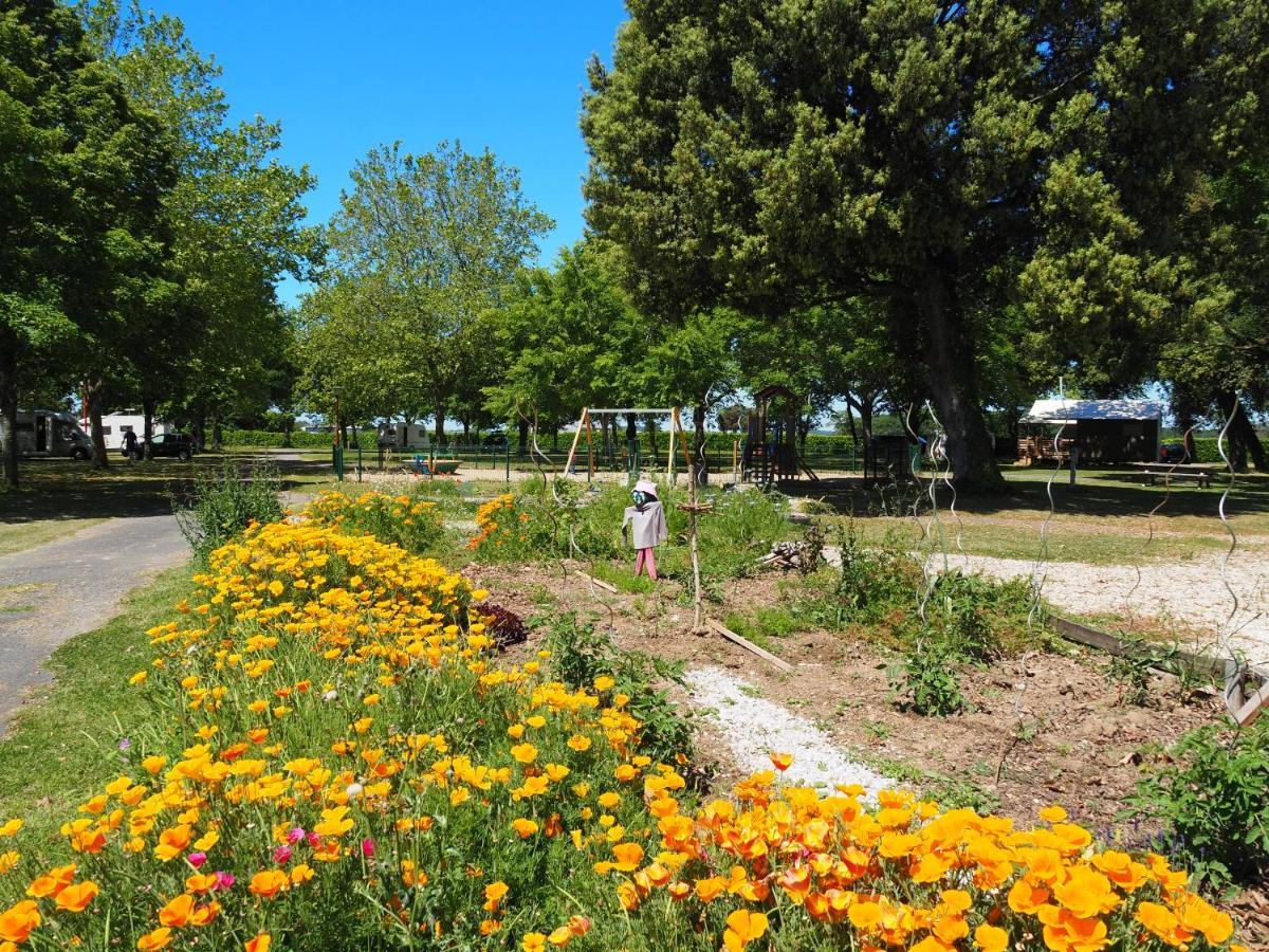 Camping Le Sorlut Cozes Bagian luar foto